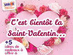 Vignette-valentin