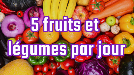 5fruitsetlegs