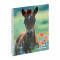 exa999168e-cahier-de-textes-a-spirale-exacompta-poulain-1