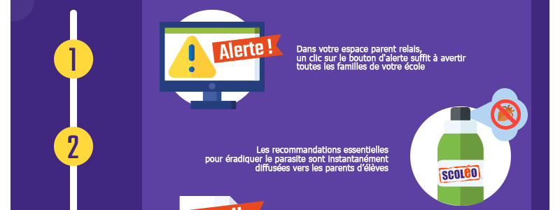 infographie-800px-stop-aux-poux_05