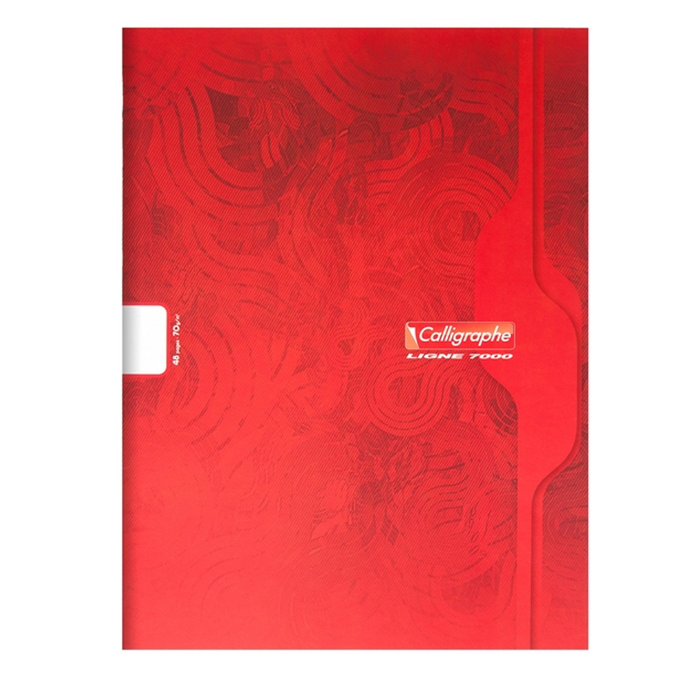 Cahier Clairefontaine Calligraphe 24x32cm - 48 Pages Grands Carreaux - Papier 90g Blanc - Couverture Polypro Transparente