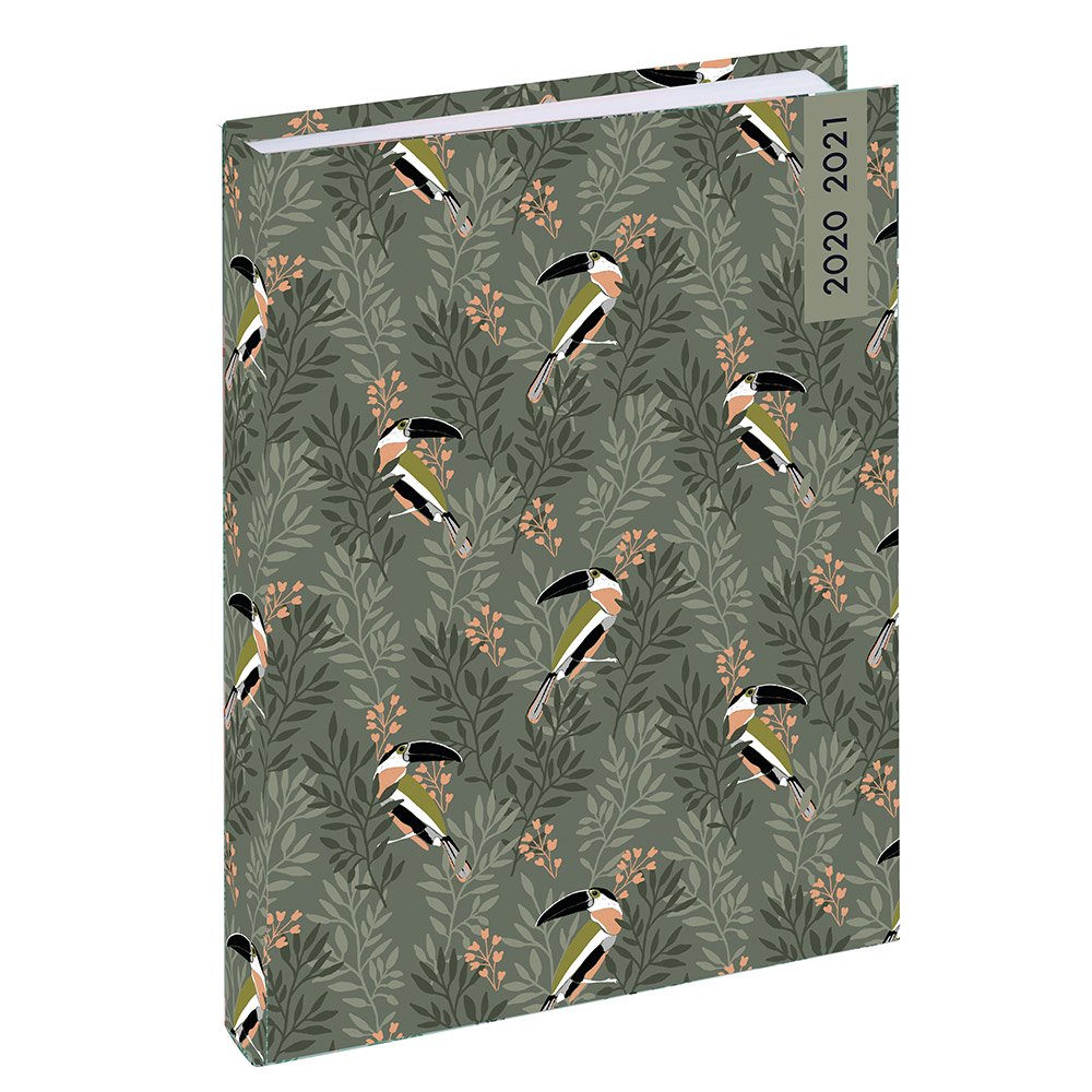 To Do List Exacompta - Format 10x18cm, Motif Toucan - 50 Pages Détachables 2025 - Planner Hebdo