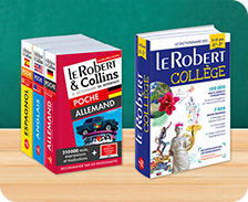 dictionnaires n2