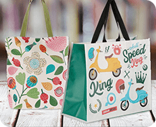 sacs shopping n2