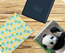 agendas scolaires n2